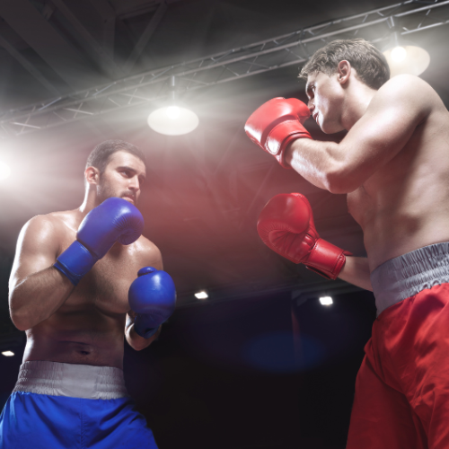 palestra boxe milano