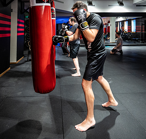 palestra boxing a milano